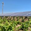 Como invertir en proyectos fotovoltaicos-Tranesol-P01