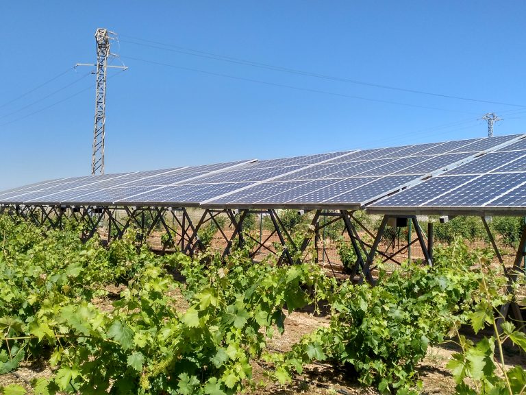 Como invertir en proyectos fotovoltaicos-Tranesol-P01
