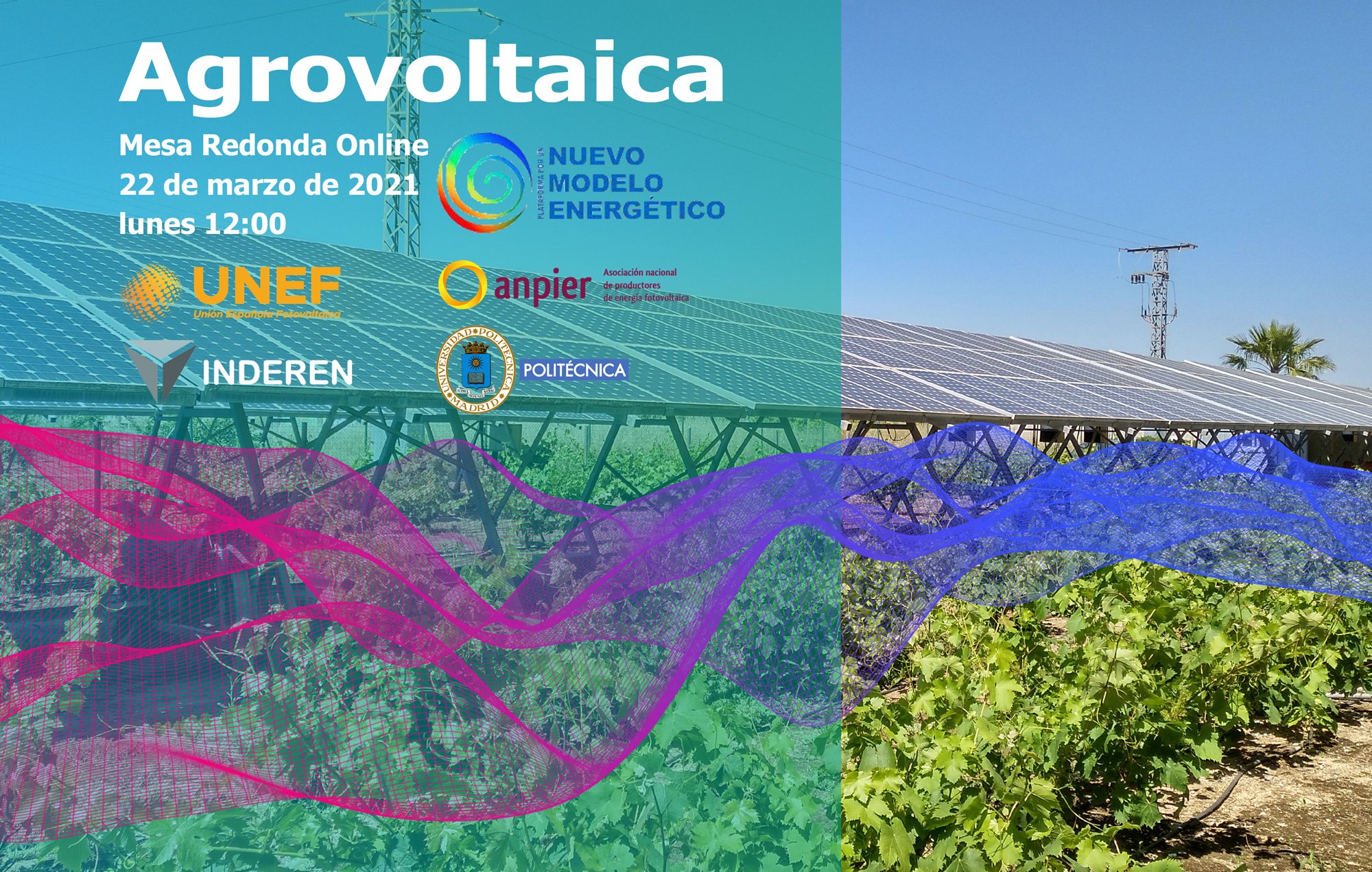 TRANESOL mesa redonda agrovoltaica MesaRedonda-agrovoltaica-Px1NME-INDEREN02