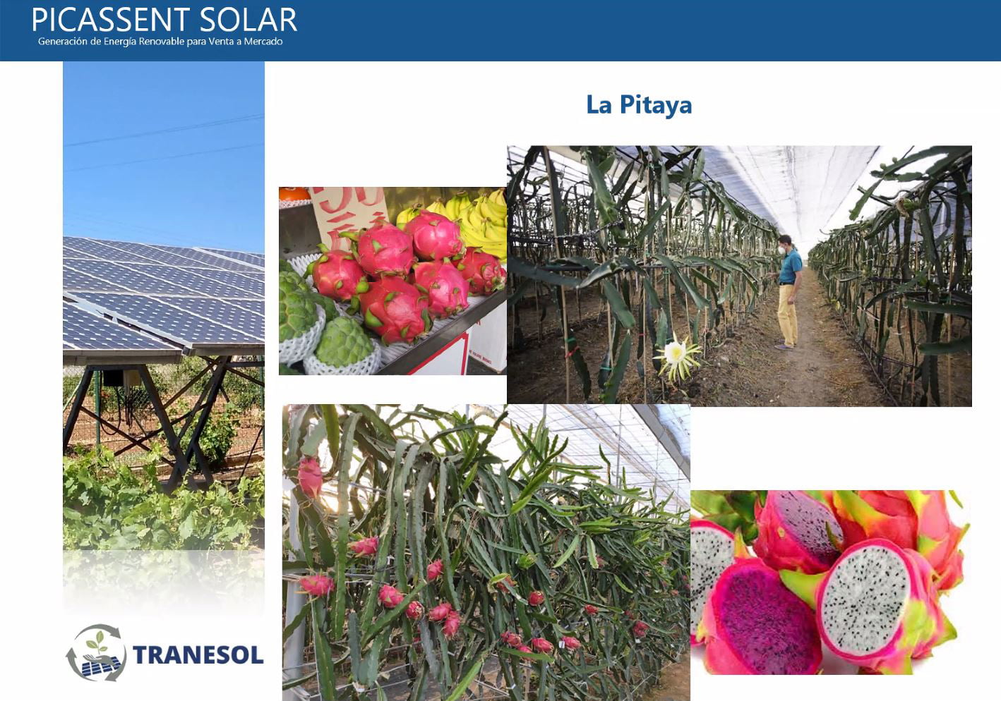 Comunidades Energéticas Renovables Agro-fotovoltaicas-02