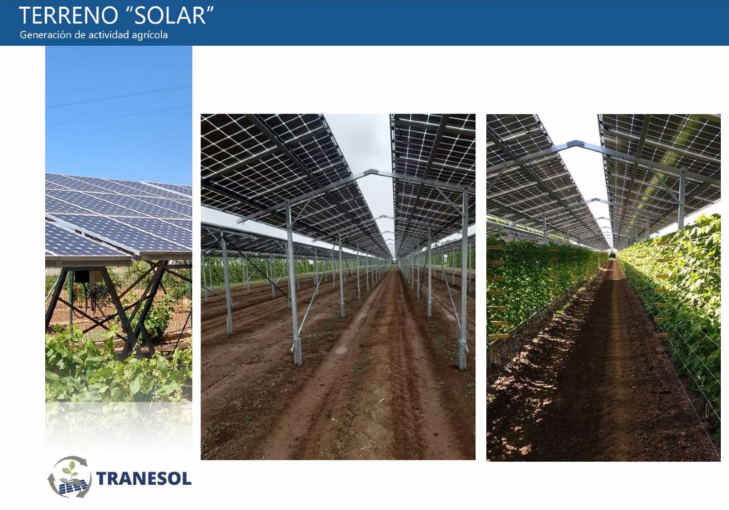 Comunidades Energéticas Renovables Agro-fotovoltaicas-03