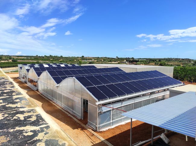 TRANESOL Agrovoltaica Picassent Solar-02-Small