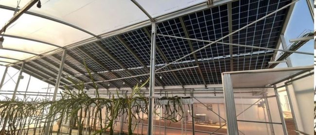 TRANESOL planta solar granja porcina Levante-EMV-01