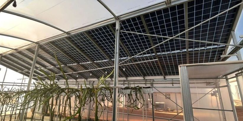 TRANESOL planta solar granja porcina Levante-EMV-01