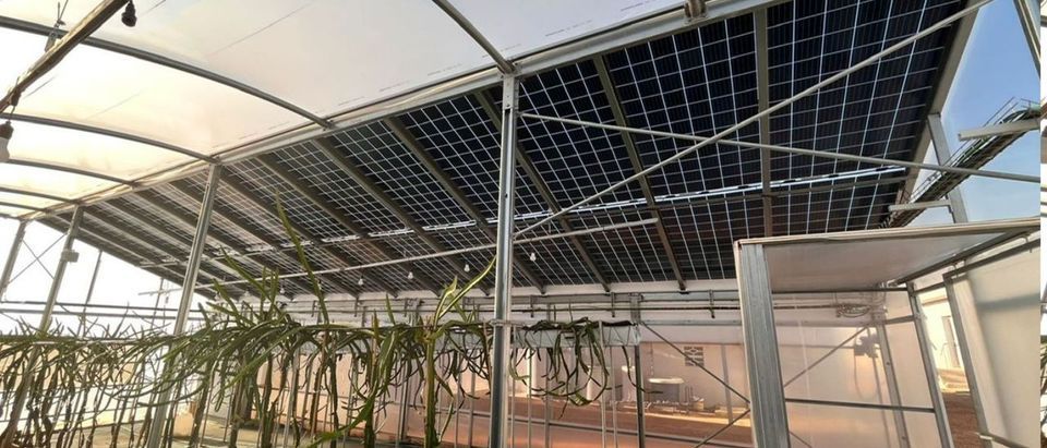 TRANESOL planta solar granja porcina Levante-EMV-01