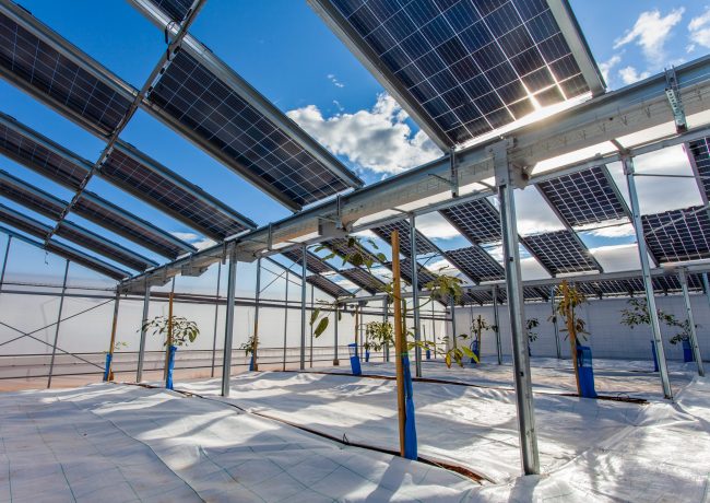 Visita Girona Agrovoltaica Picassent Solar-01