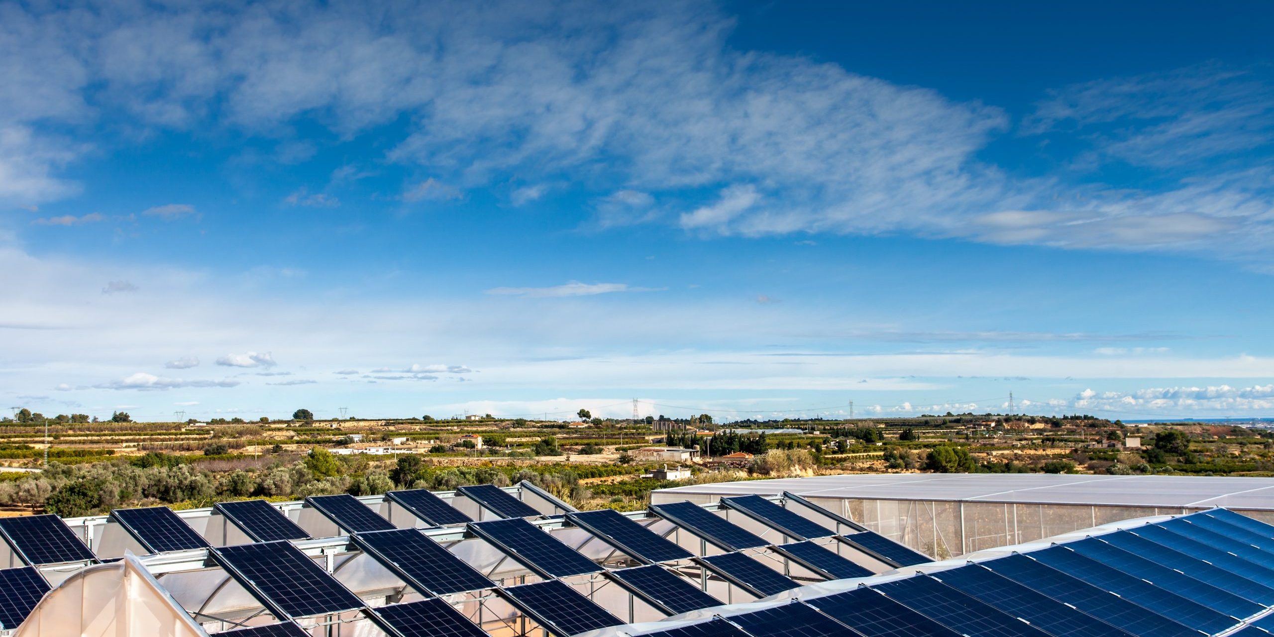 MITECO Agrovoltaica Picassent Solar MITECO Agrovoltaica Picassent Solar