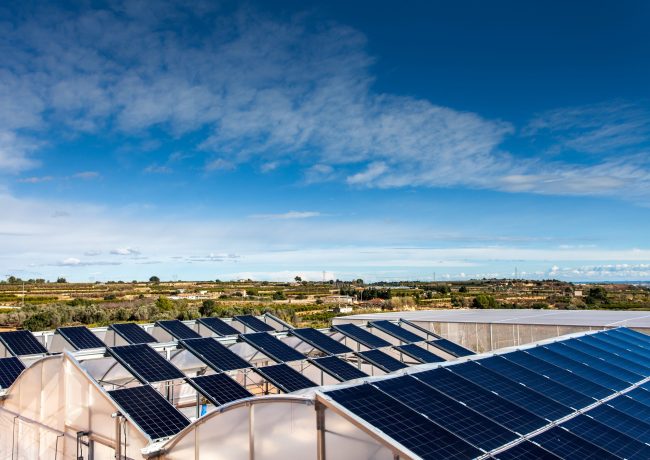 MITECO Agrovoltaica Picassent Solar
