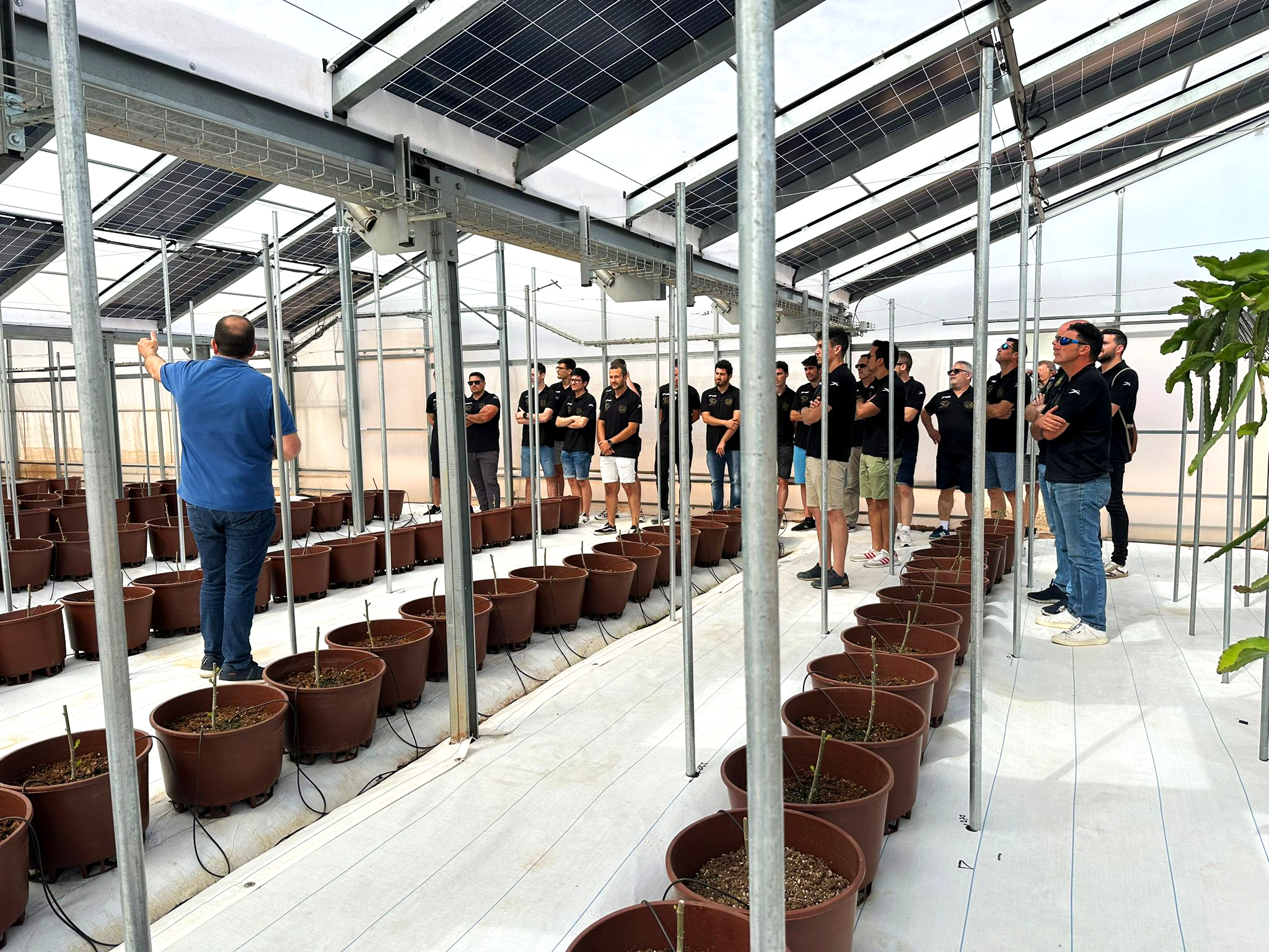 Handbol Alcasser Picassent Solar TRANESOL-02