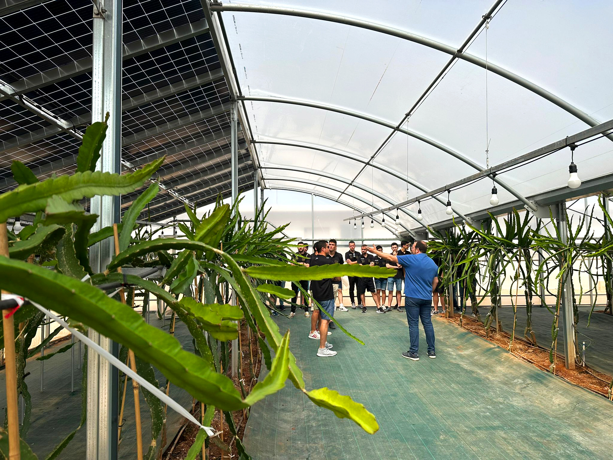 Handbol Alcasser Picassent Solar TRANESOL-03